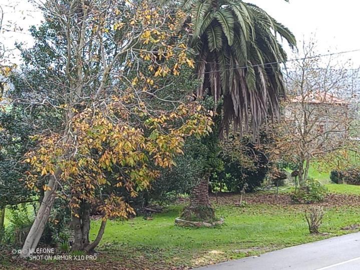 Casa Chisco Lägenhet Cudillero Exteriör bild